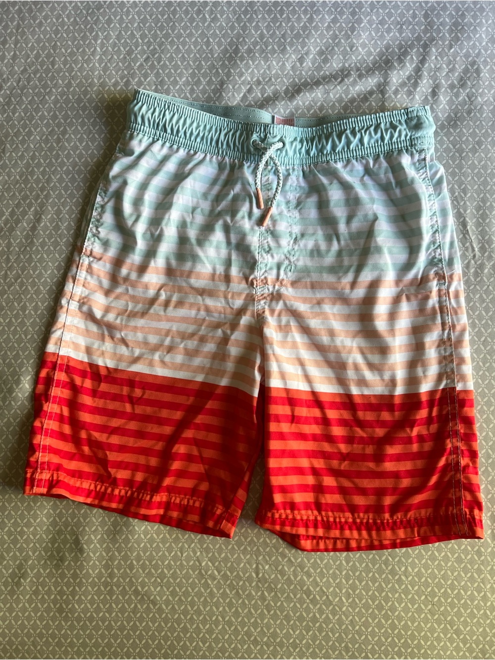 Cat & Jack Boys Mint, White & Red Striped Swim Shorts Sz 12/14